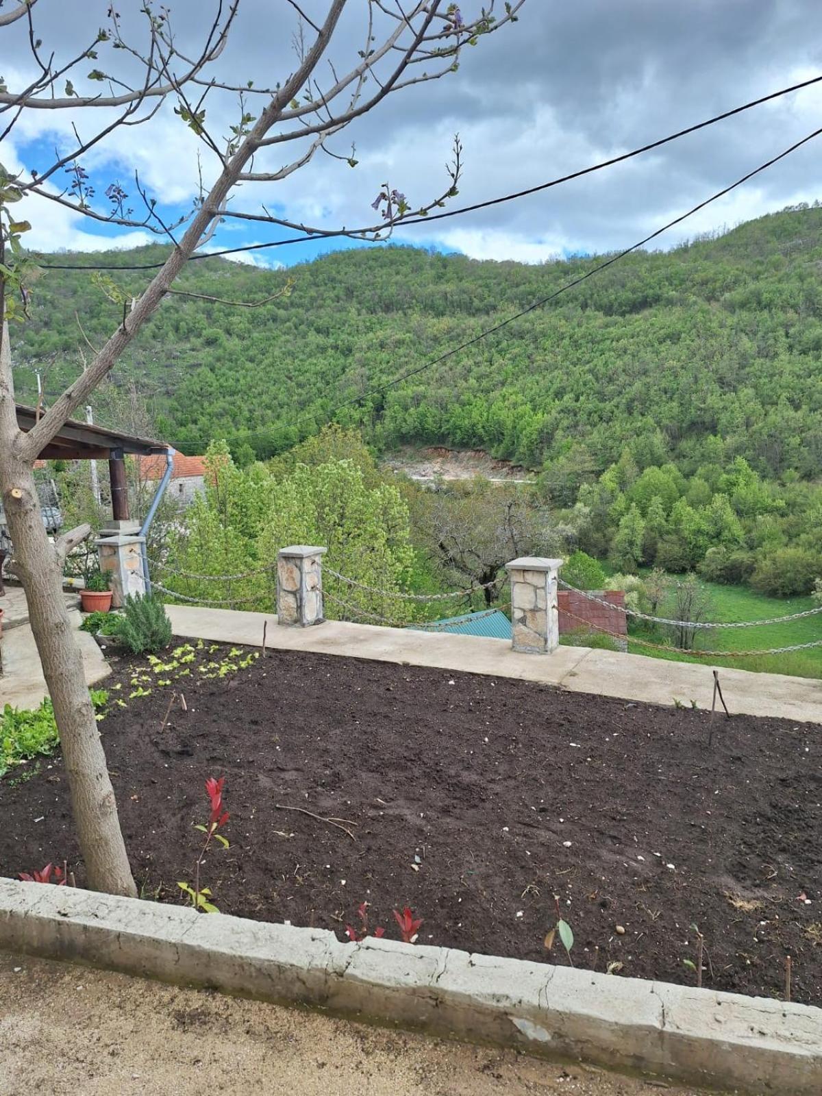 Rural Homestead Vujosevic Cetinje Exterior foto